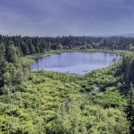 aerial view of the forest and lake